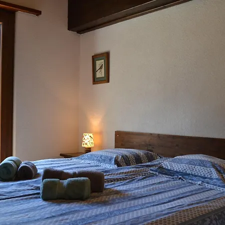Arnica 21 Appartement *